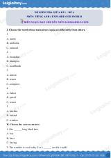 Đề thi giữa kì 1 Tiếng Anh 4 Explore Our World - Đề số 6